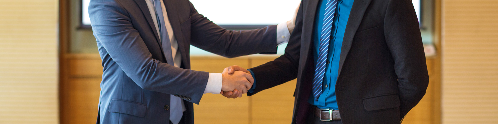 BizSAFE  Consulting